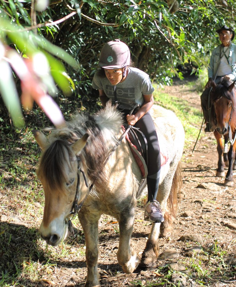 Partez à cheval à la découverte de l'île de la Réunion